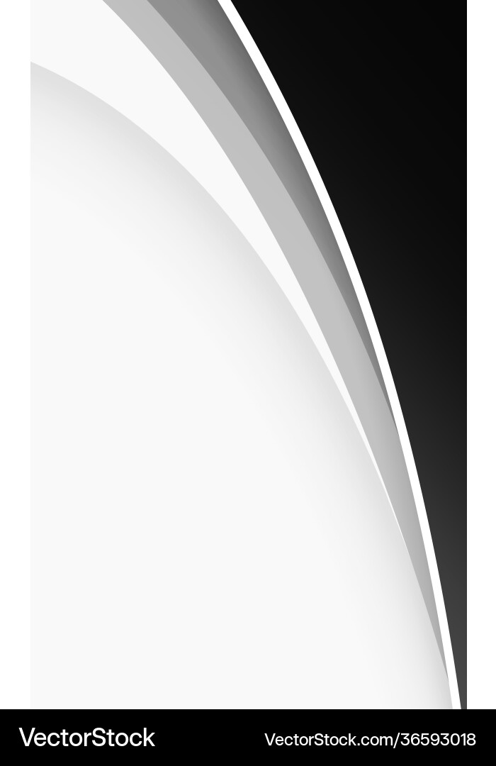 Abstract web template black and gray lines vector image