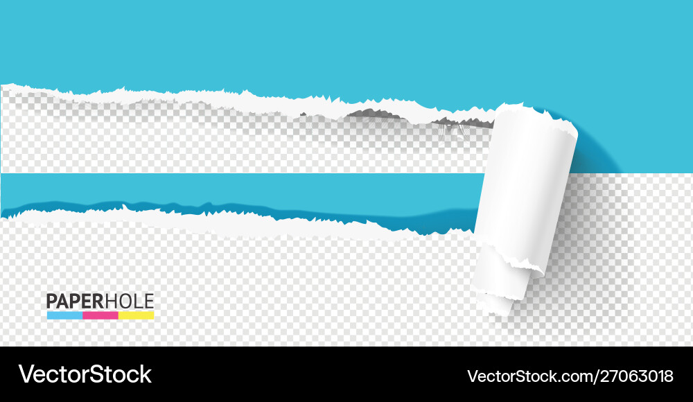 Half empty torn paper curled in scroll vector image