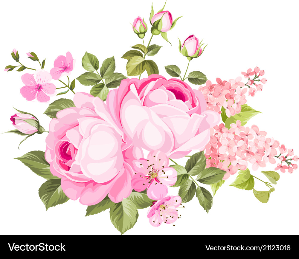 Pink Rose Flower Bouquet Vector Image