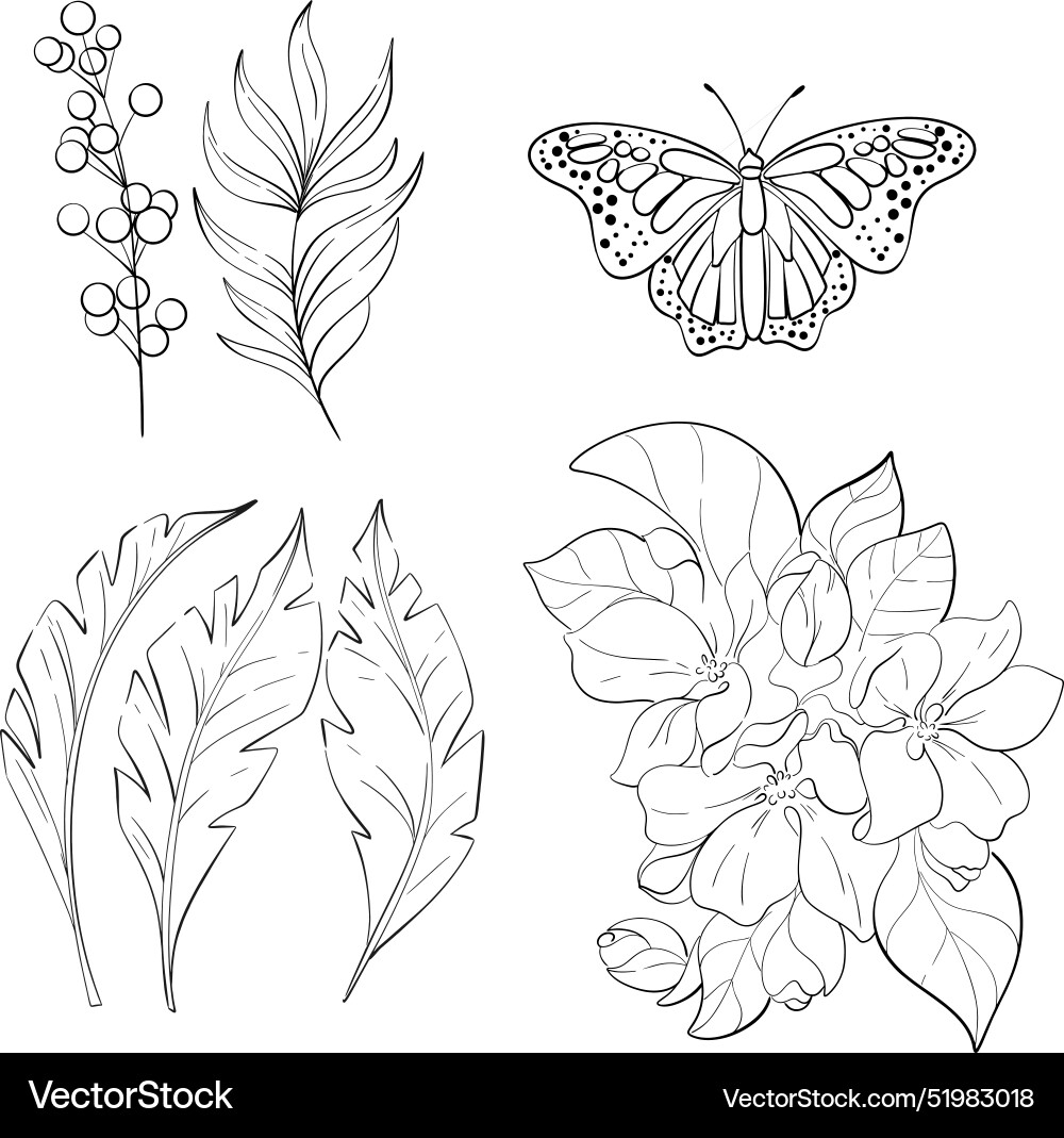 set-butterfly-monarch-palm-leaves-bright-flower-vector-image