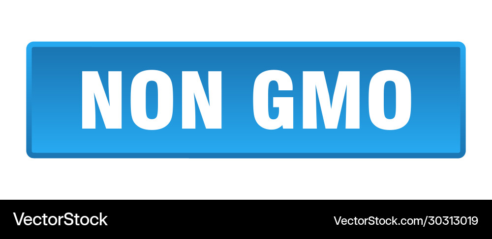 Non gmo button square blue push vector image