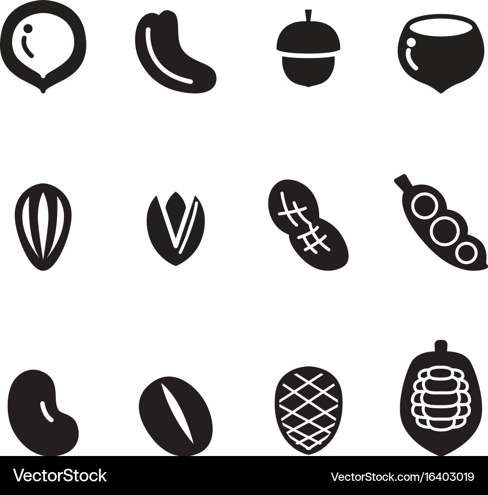 Nut icon set vector image