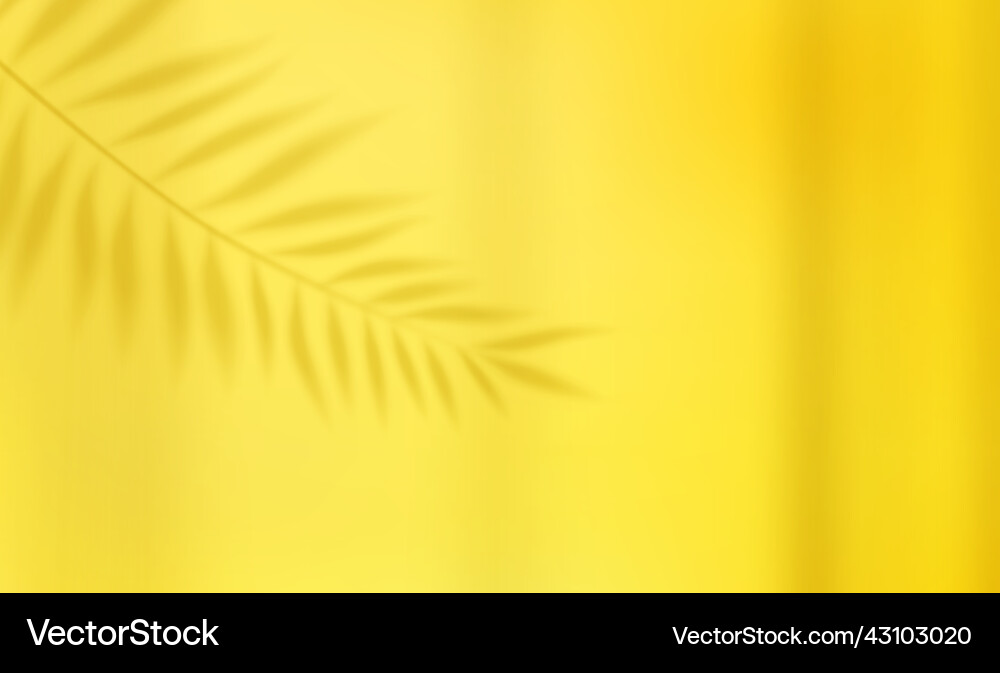 Empty studio abstract background Empty studio abstract background vector image