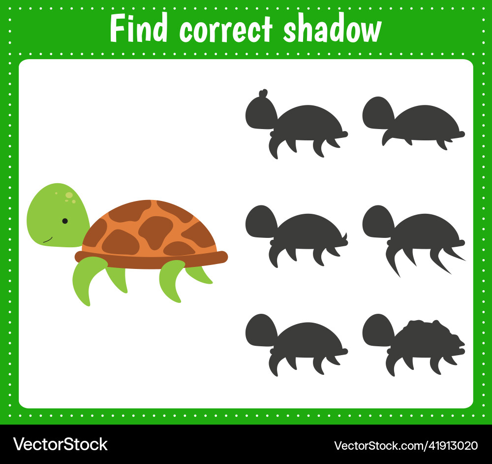 Find the correct shadow turtle Find the correct shadow turtle vector image