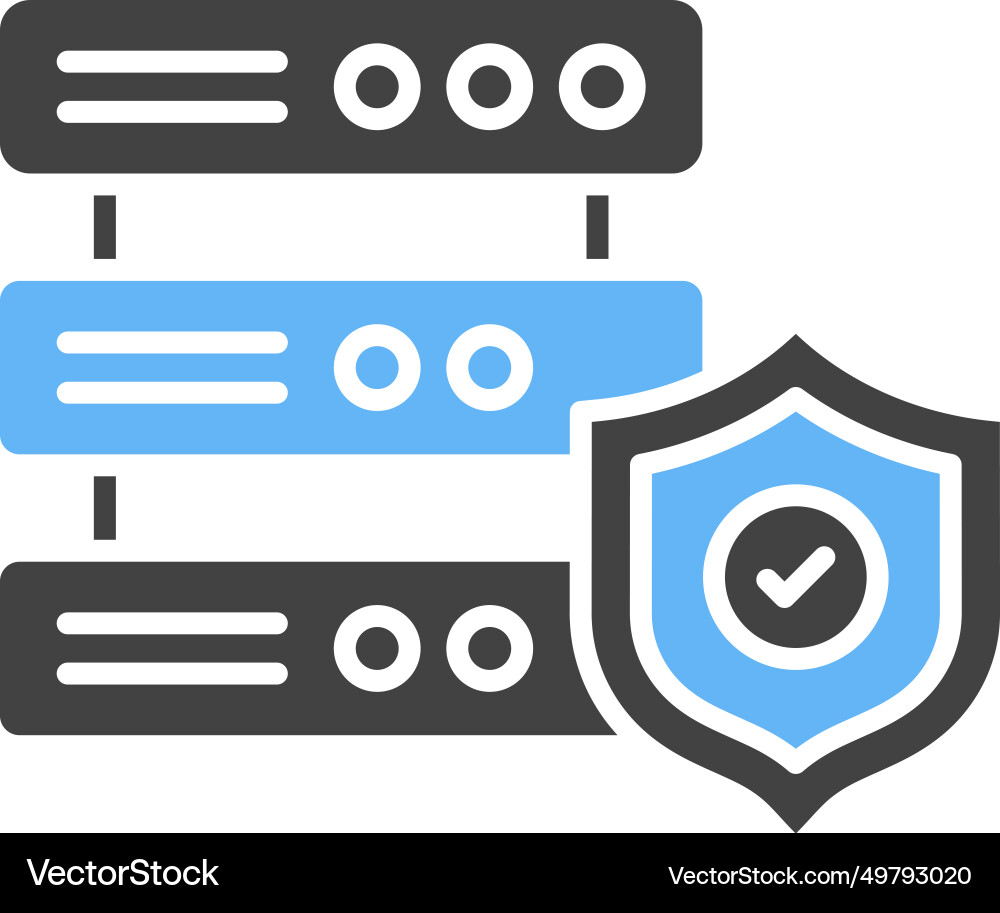 Secure server icon image vector image