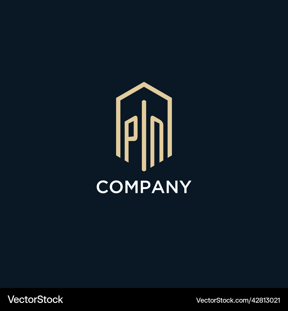 Pn initial monogram logo with hexagonal shape Pn initial monogram logo with hexagonal shape Vector Image