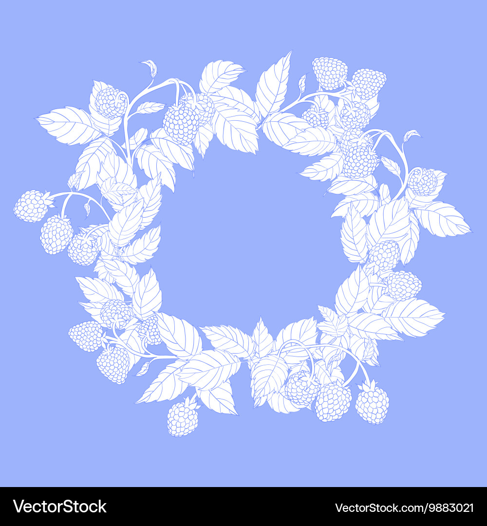 Raspberry frame Vector Image