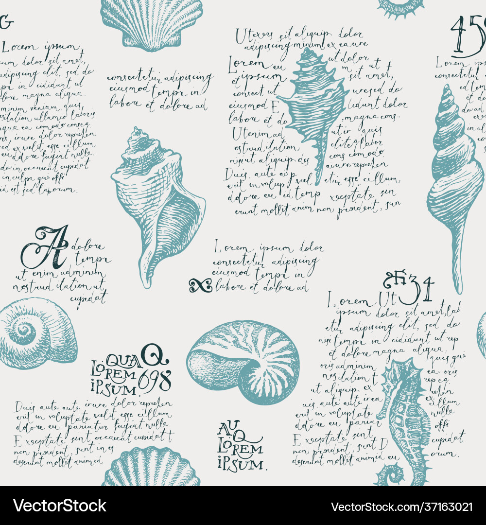 Retro Seashell Pattern Vector Image