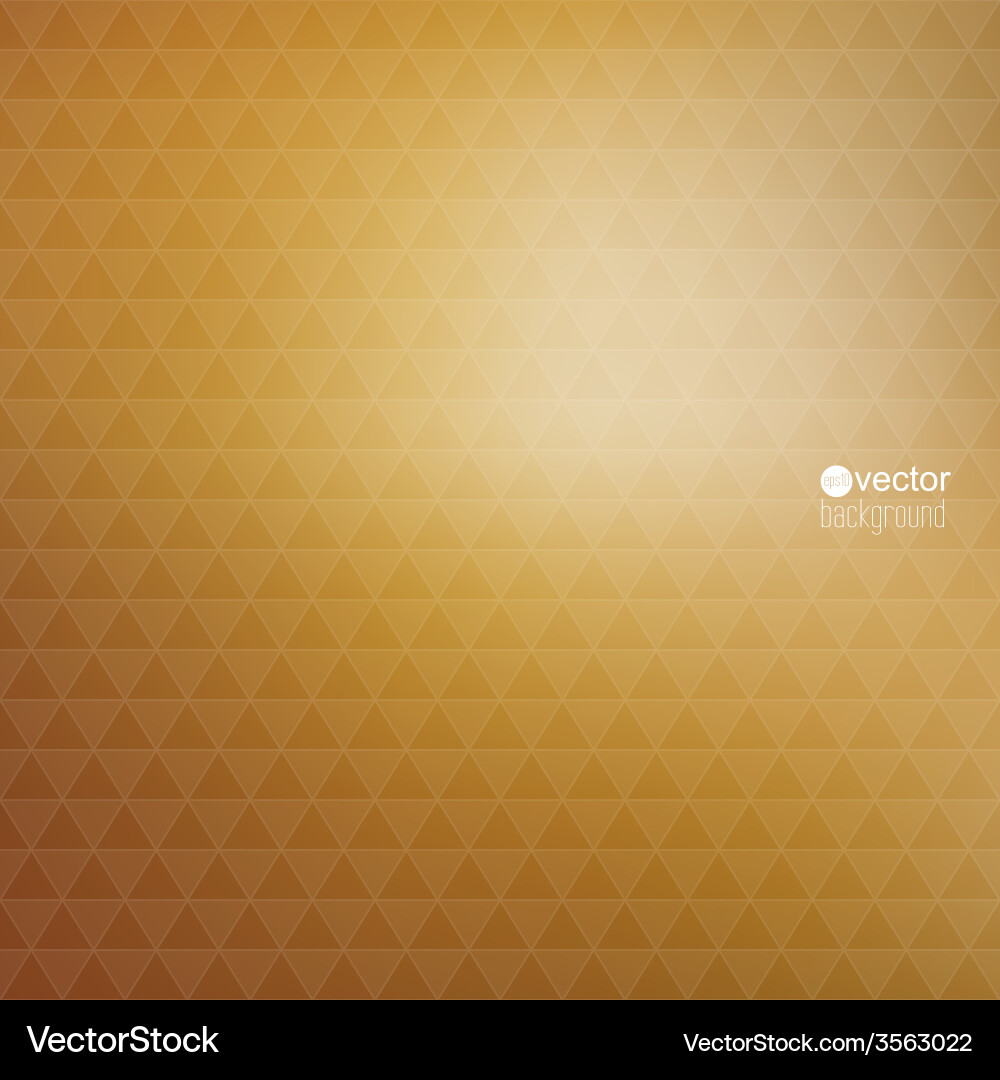 Abstract background with triangles and pattern vector image