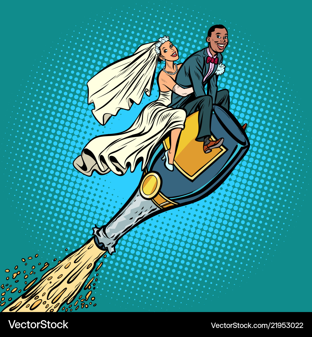 Bride and groom wedding inter-ethnic couple Bride and groom wedding inter-ethnic couple vector image