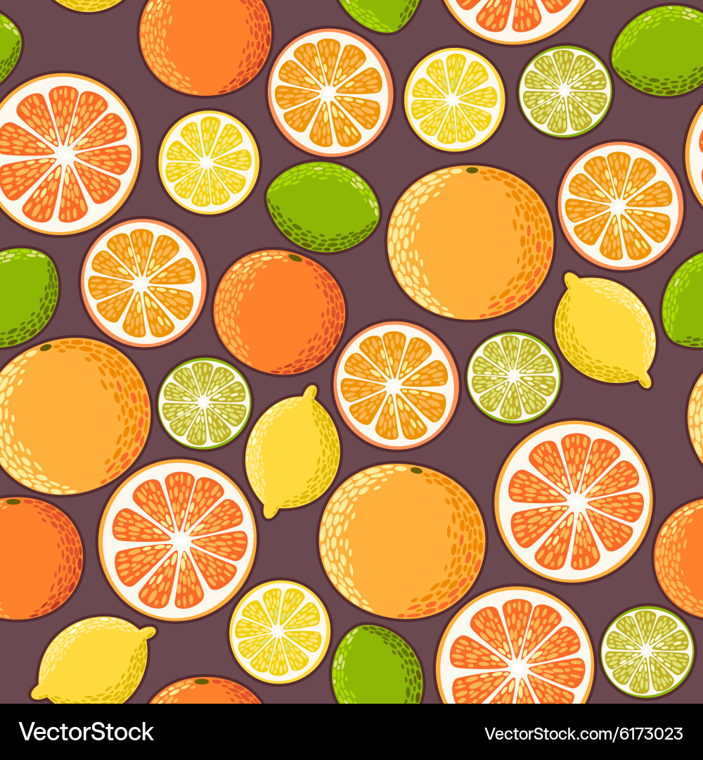 Citrus Slice Pattern vector image