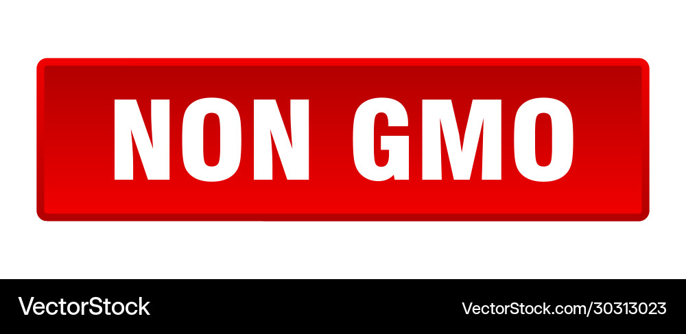 Non gmo button square red push vector image