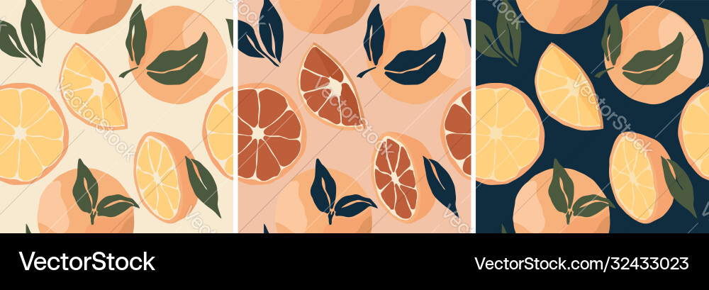 Set abstract still life pattern with oranges Vector Image