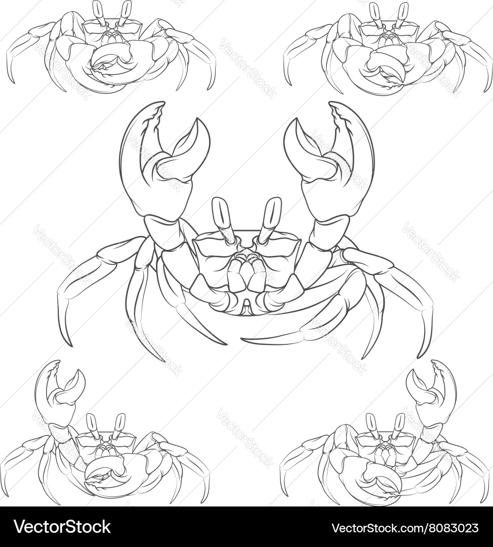 Set of crabs isolated object vector image