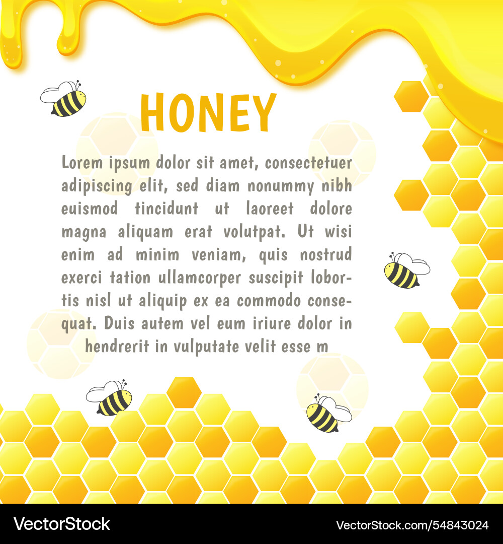 Honey beehive background hexagon pattern Honey beehive background hexagon pattern vector image