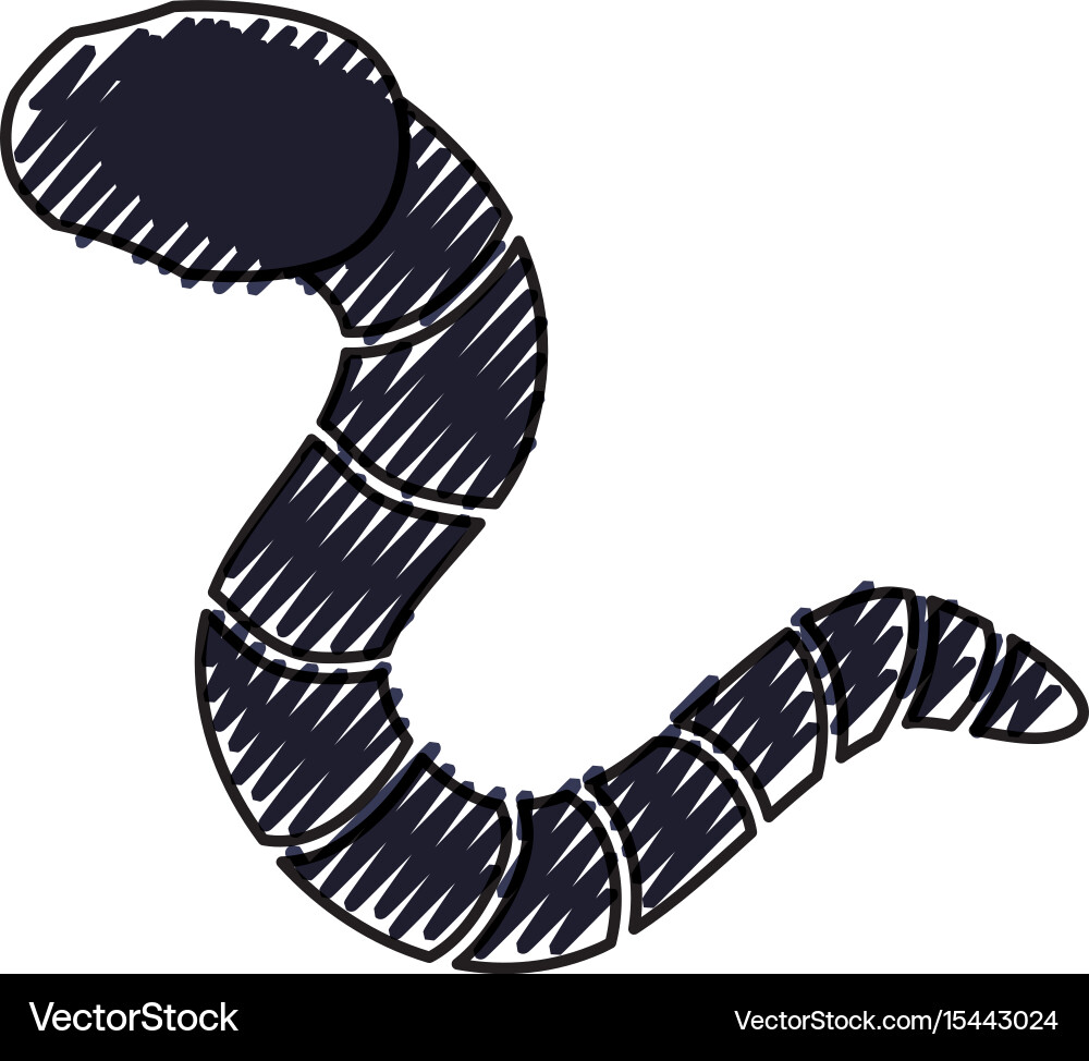 Isolated hacker virus worm vector image