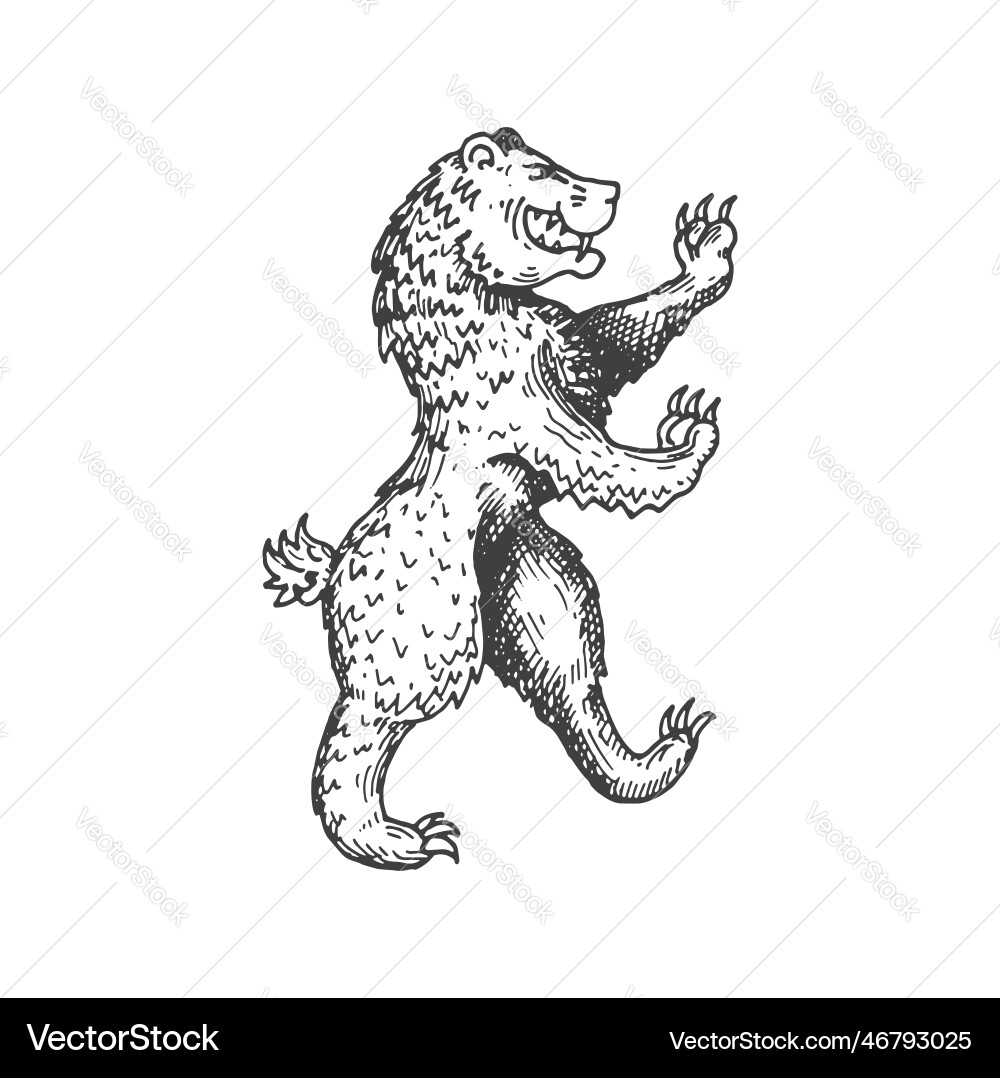 Bear medieval heraldic animal sketch symbol Bear medieval heraldic animal sketch symbol Vector Image