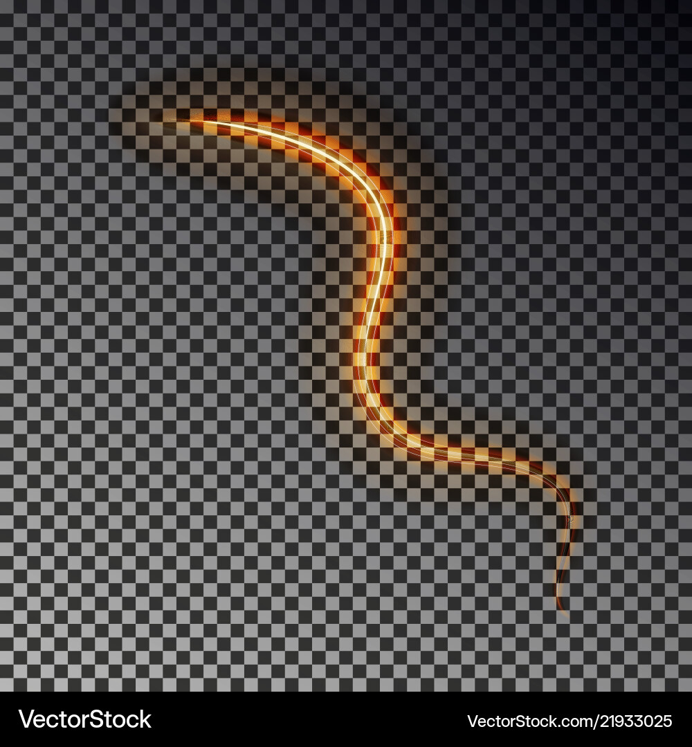 Glowing light line isolated on dark background ab Glowing light line isolated on dark background ab vector image