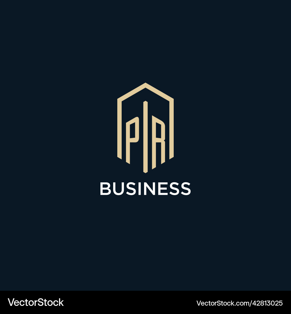 Pr Monogramm Logo mit hexagonaler Form Vektorbild