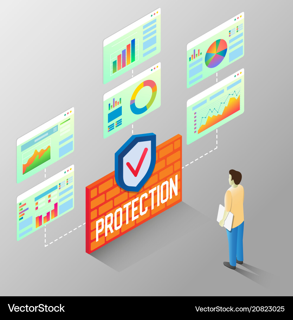 Protection Data Flow Chart Vector Image