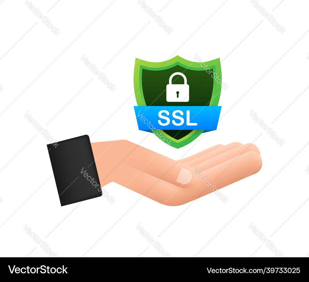 Secure connection icon Secure connection icon Vector Image