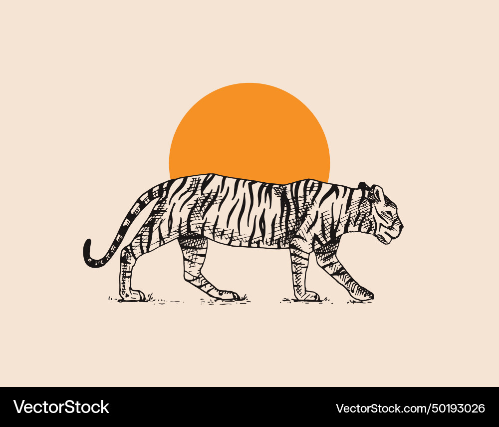 Japanischer Tiger vor dem Hintergrund der Sonne Japanischer Tiger vor dem Hintergrund der Sonne vektorbild