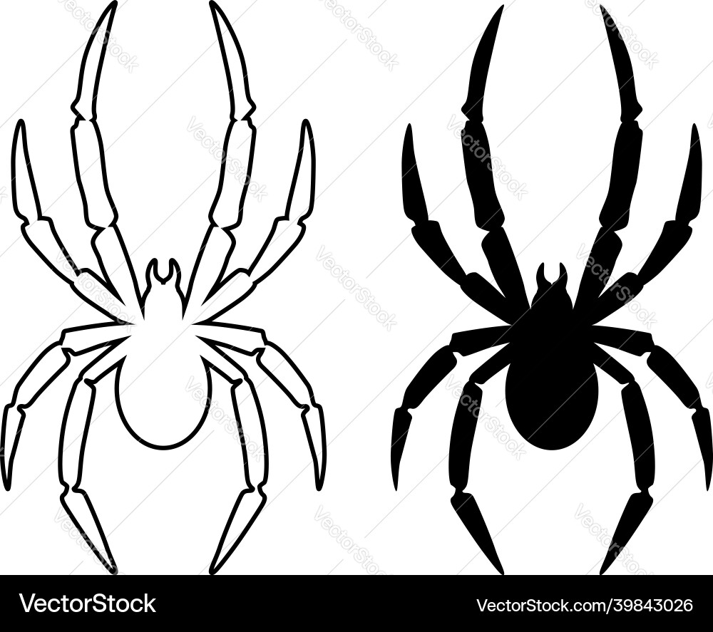 Spider Motif - Dark Art Vector Image
