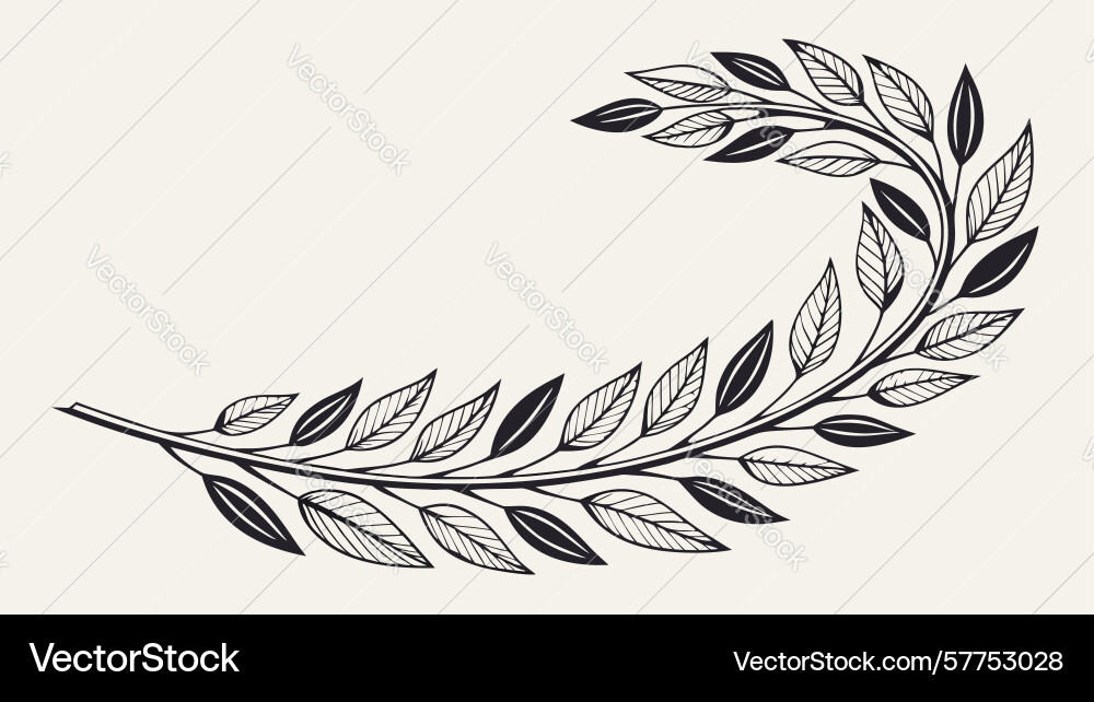 Classic laurel wreath element design generative Vector Image