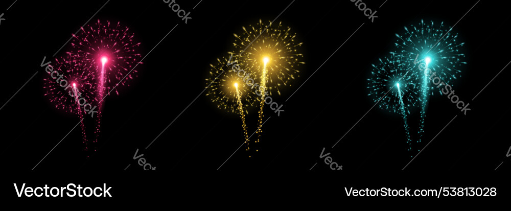 Firework explosion isolated on dark background Vector Image