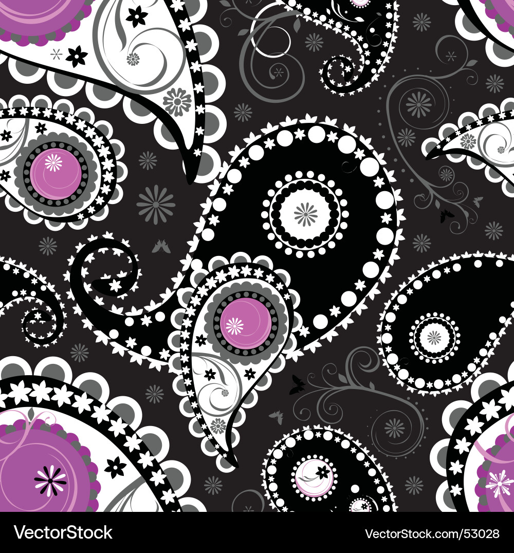 Retro Paisley Pattern vector image