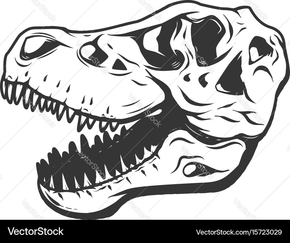 Tyrannosaurus Rex Skull Vector Image