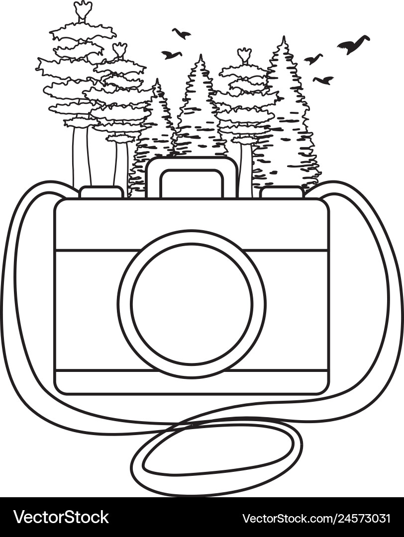 Pines trees forest scene with camera Vector Image