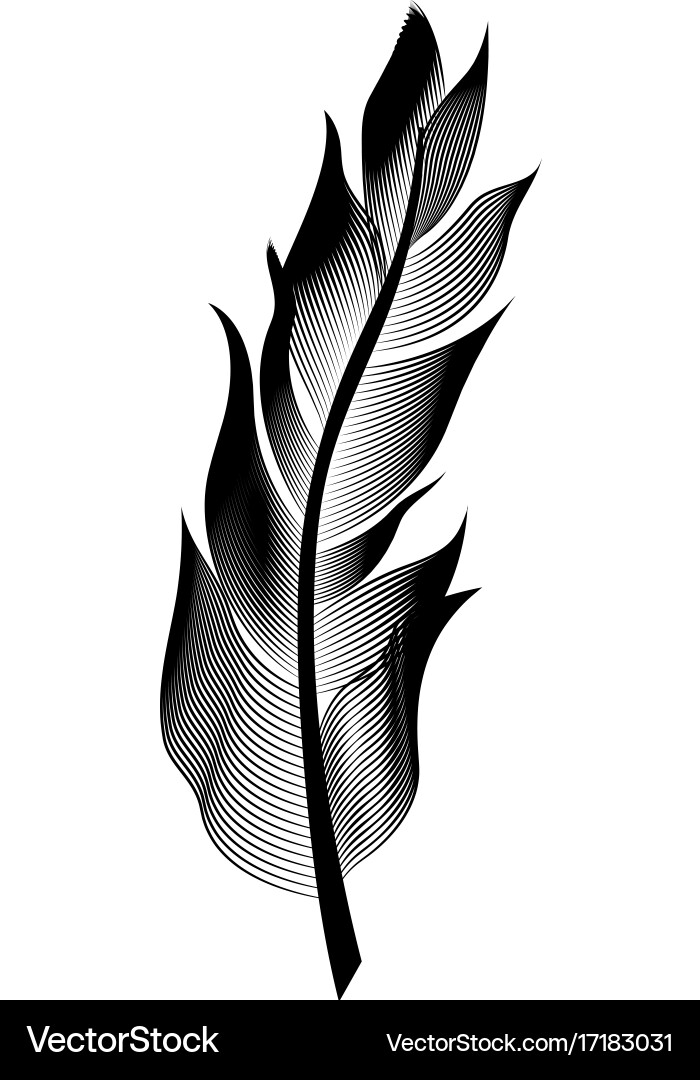 Stylized bird feather linear object Vector Image