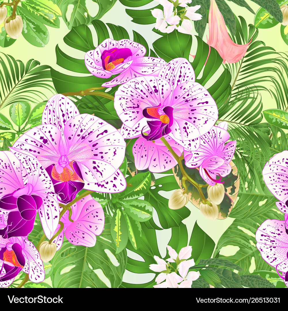 Tropical Orchids Phalaenopsis Seamless Texture Vector Image