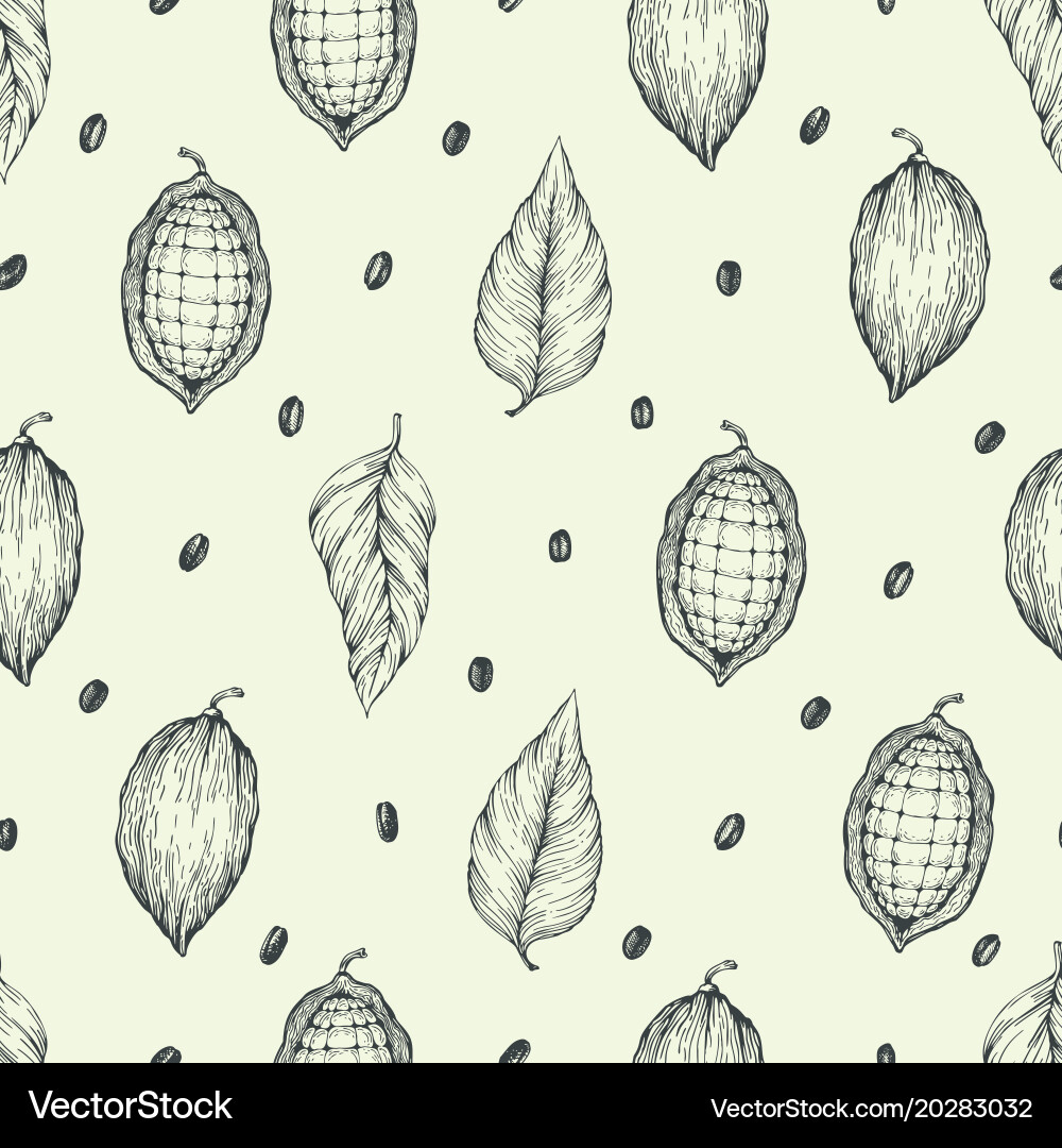 Cocoa Beans Seamless Pattern vector image