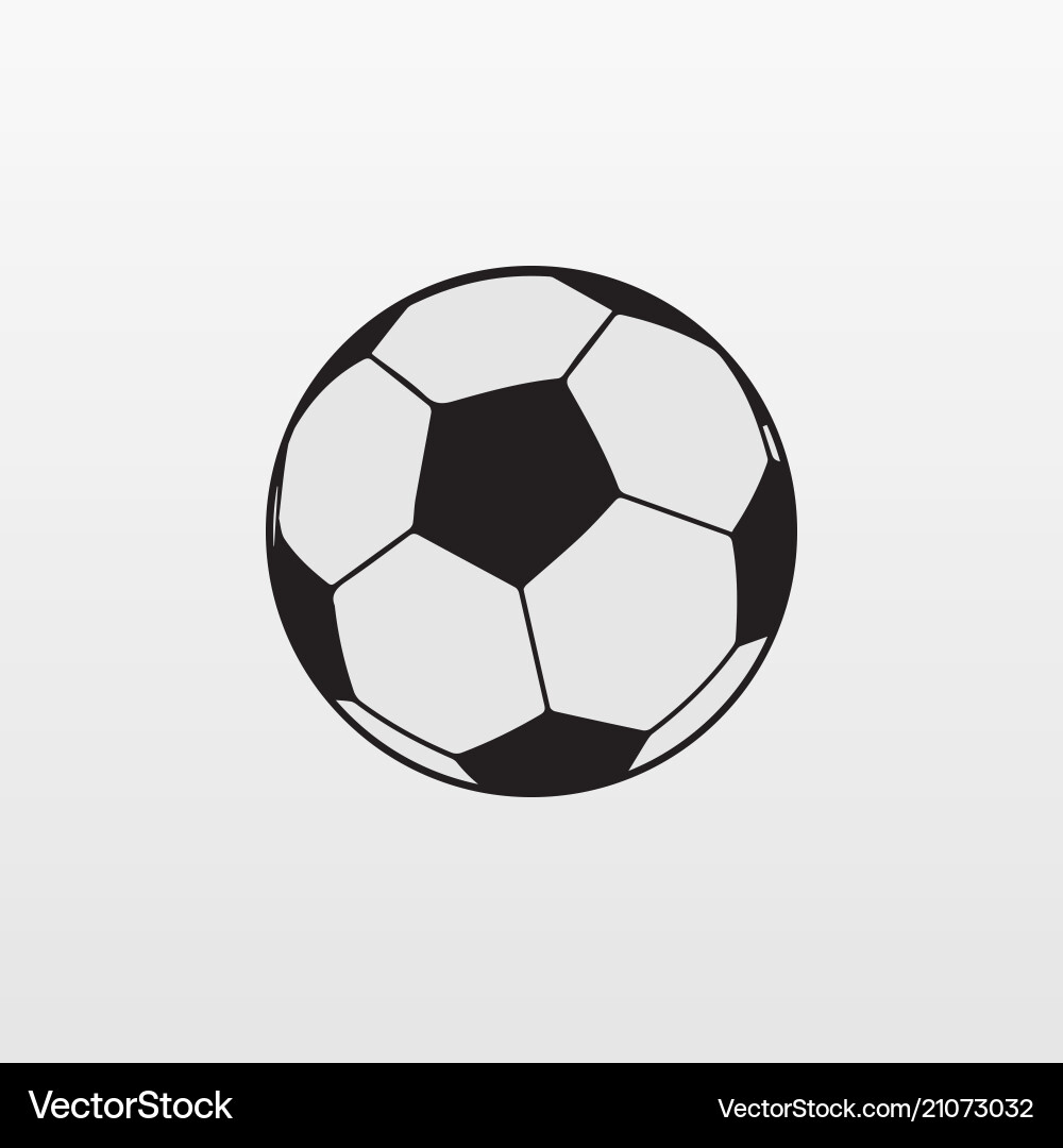 Gray Soccer Ball Icon vector image