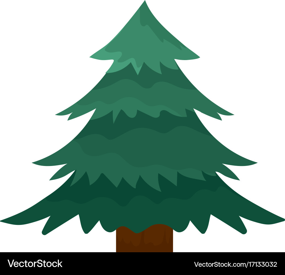 Natural pine tree with branches design Vector Image