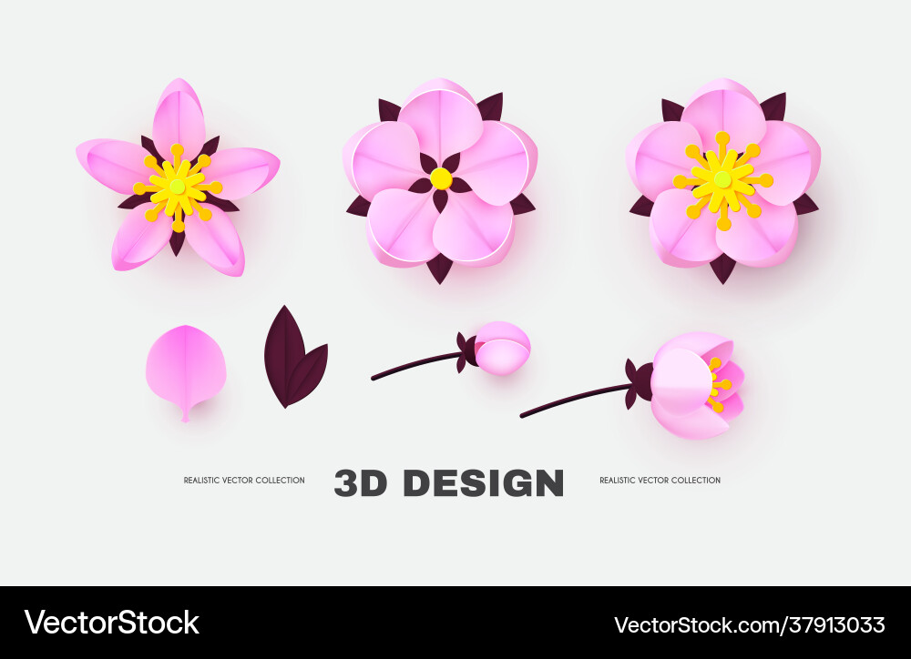 Paper flower set with buds leaves and petals Paper flower set with buds leaves and petals vector image