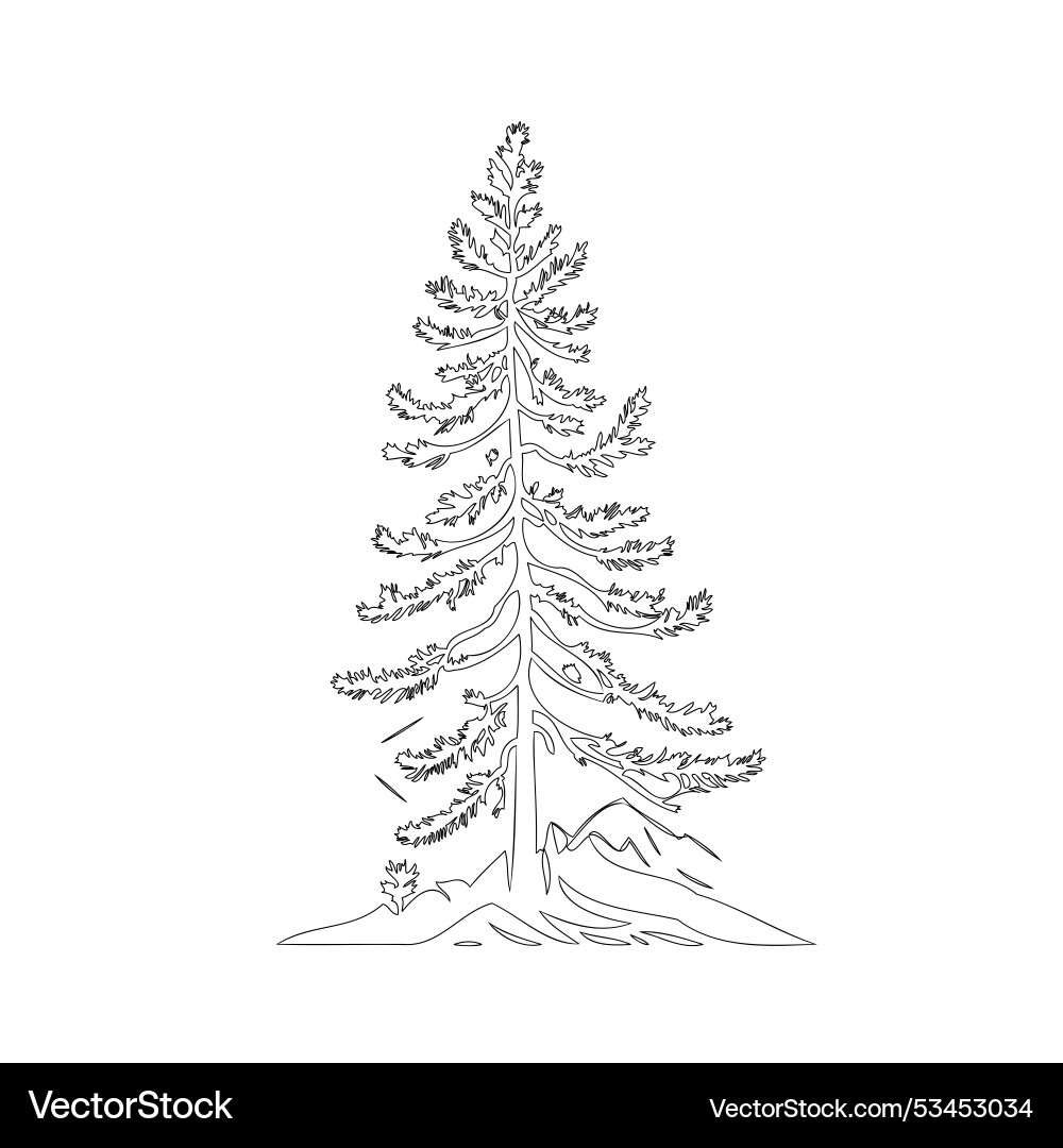 Pine tree nature outline sketch Vector Image