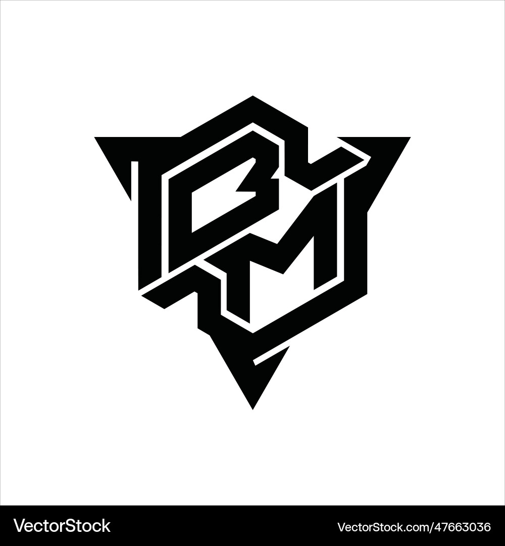 Bm logo monogram hexagon shape with triangle Vector Image