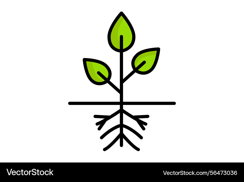 Seedling icon colored outline style Vector Image