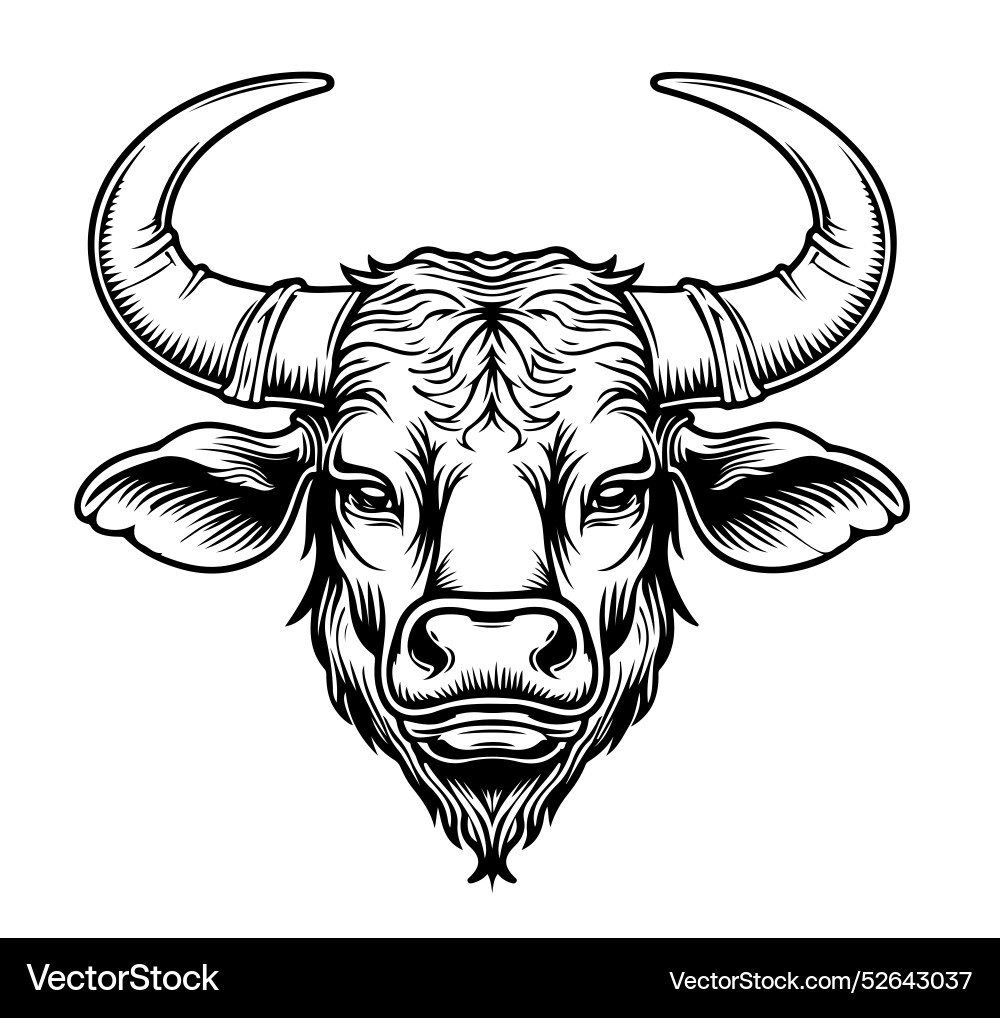  Cow head sketch hand drawn Royalty Free Vector Image Motiv 