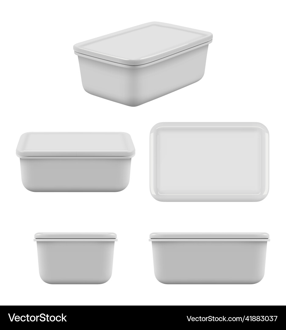 Plastic food container mock up empty boxes Vector Image