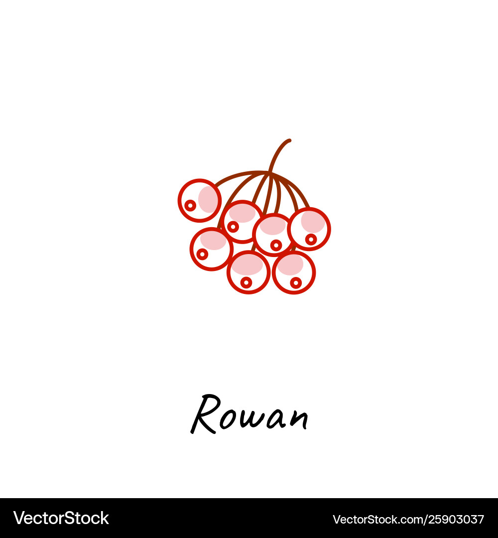 Rowan berry icon ski Rowan berry icon ski vektorbild