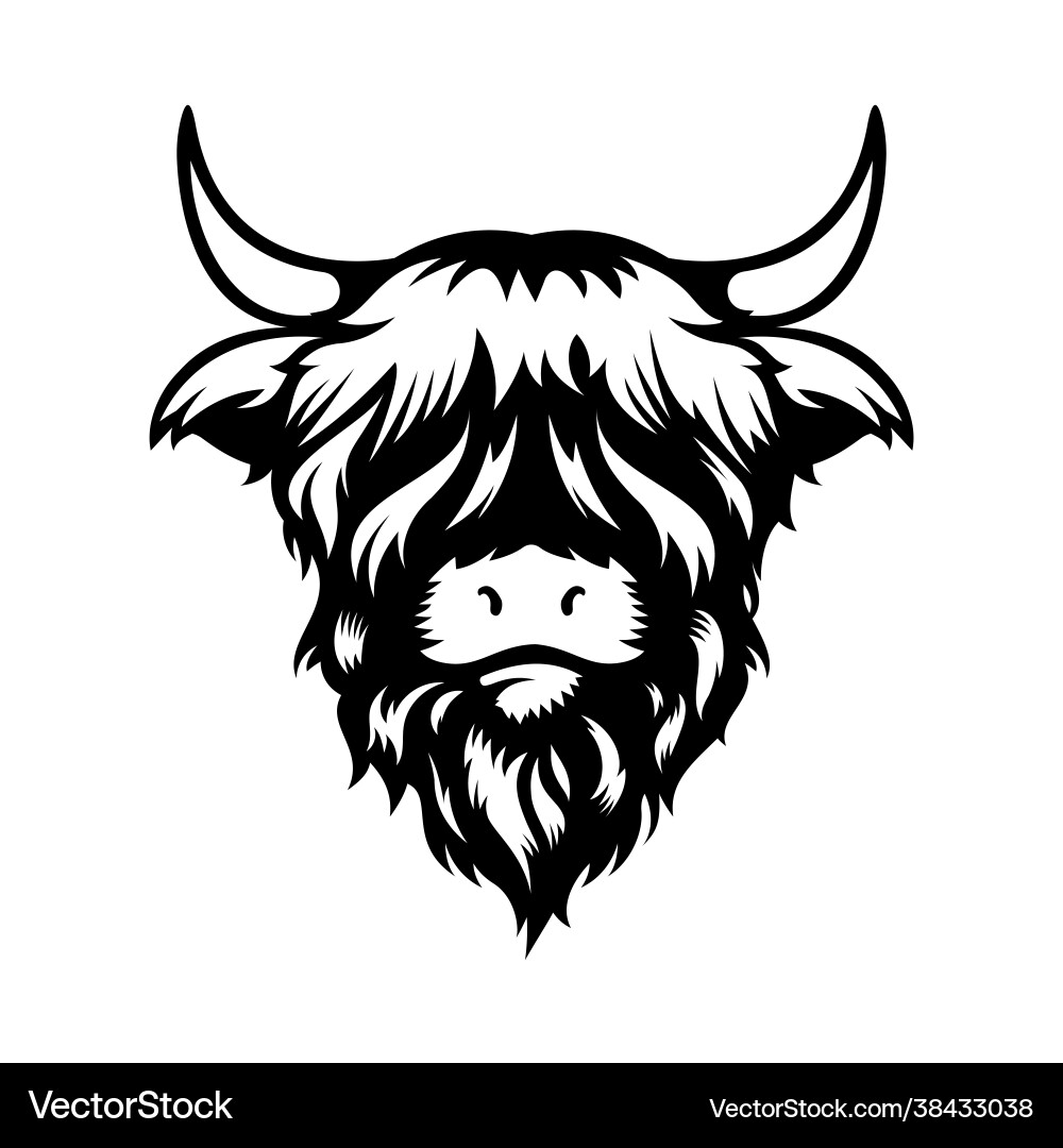 Highland cow head design on white background vector image