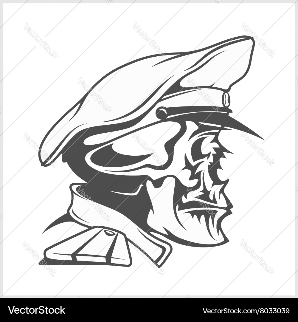 Captain skull in a hat Vector Image
