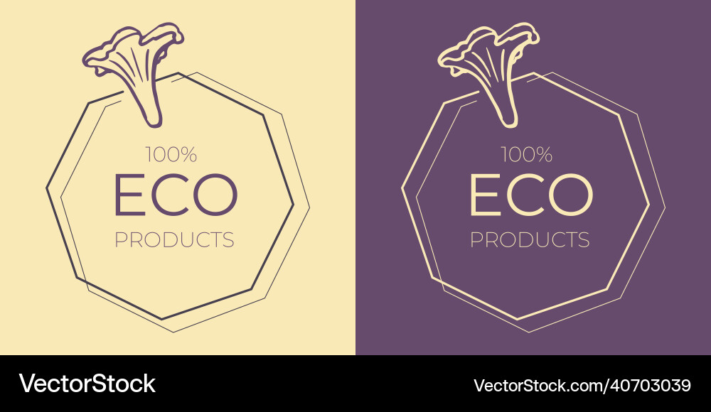 Web Web vector image