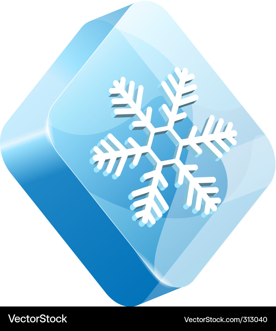 Ice Cube Button vector image