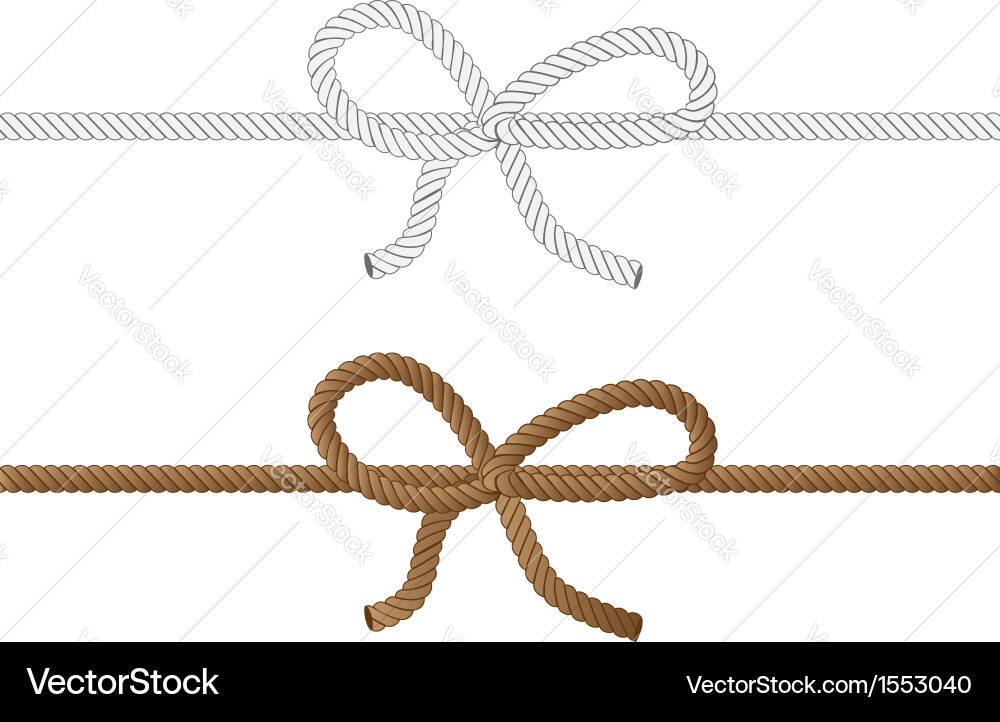 Bow Rope Vector Rope bow2 Royalty Free Vector Image - VectorStock
