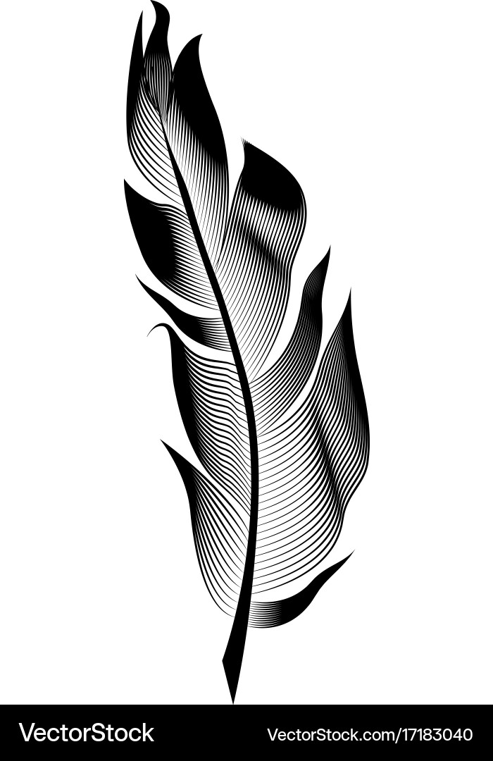 Stylized bird feather linear object Vector Image